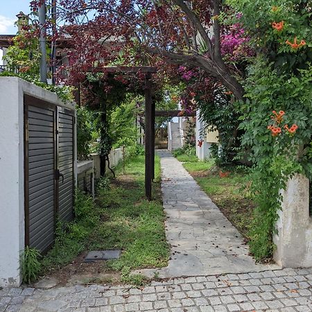 Melina Apartments Nikiti  Exterior photo
